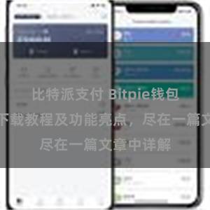 比特派支付 Bitpie钱包最新版本下载教程及功能亮点，尽在一篇文章中详解