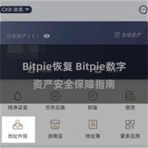 Bitpie恢复 Bitpie数字资产安全保障指南