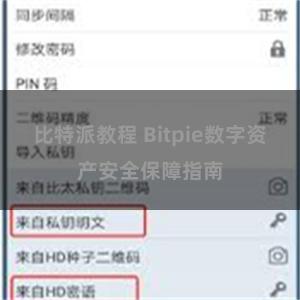 比特派教程 Bitpie数字资产安全保障指南