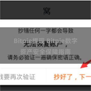 Bitpie提现 Bitpie数字资产安全保障指南