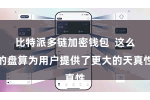 比特派多链加密钱包  这么的盘算为用户提供了更大的天真性