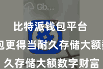 比特派钱包平台 冷钱包更得当耐久存储大额数字财富