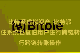 比特派虚拟资产  比特派多链握住系统也复旧用户进行跨链转账操作