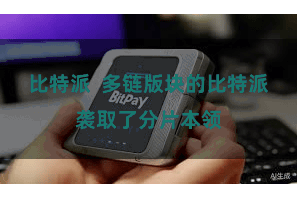 比特派  多链版块的比特派袭取了分片本领